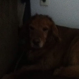 Meet your Posher, Emma